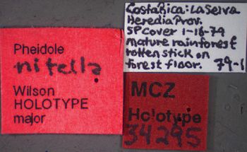 Media type: image;   Entomology 34295 Aspect: labels